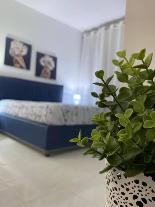Appartamenti Stella D'Argento Trapani Extérieur photo